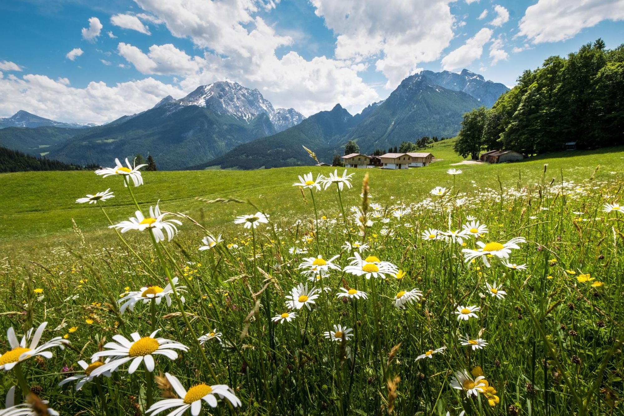 Alpenpension Ettlerlehen Ramsau bei Berchtesgaden Exteriér fotografie